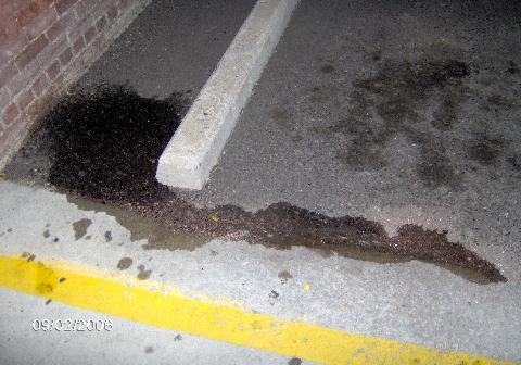 shot of pee puddle from pee sightings report