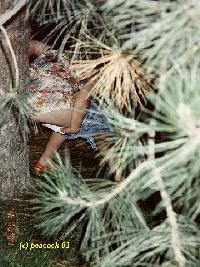 lady peeing by tree