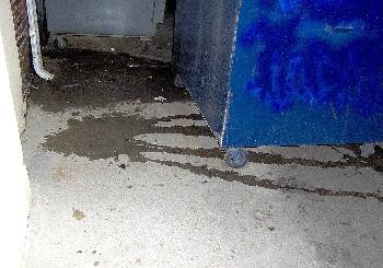 pee puddle behind dumpster