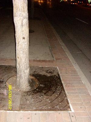 tree well soaked with blue panties lady's piss