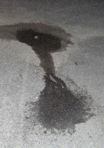 womans pee puddle on pavement