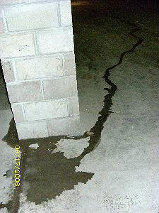 piss puddle by base of wall