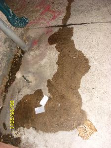 pee puddle left by peeing ladies
