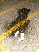 ladies piss puddle in car park