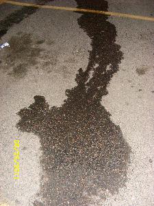 piss puddle from sexy lady