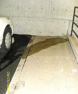 huge stream of women's pee snaking across a car park